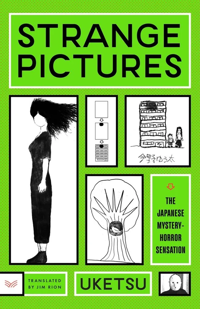 Cover of Strange Pictures: A Novel
