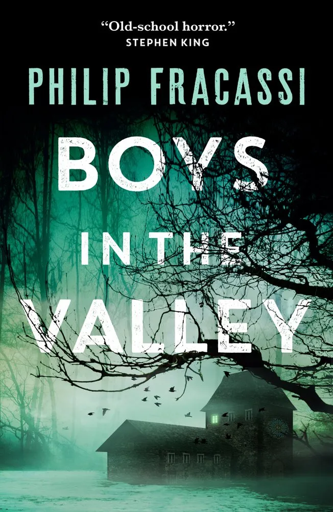 Cover of Boys in the Valley