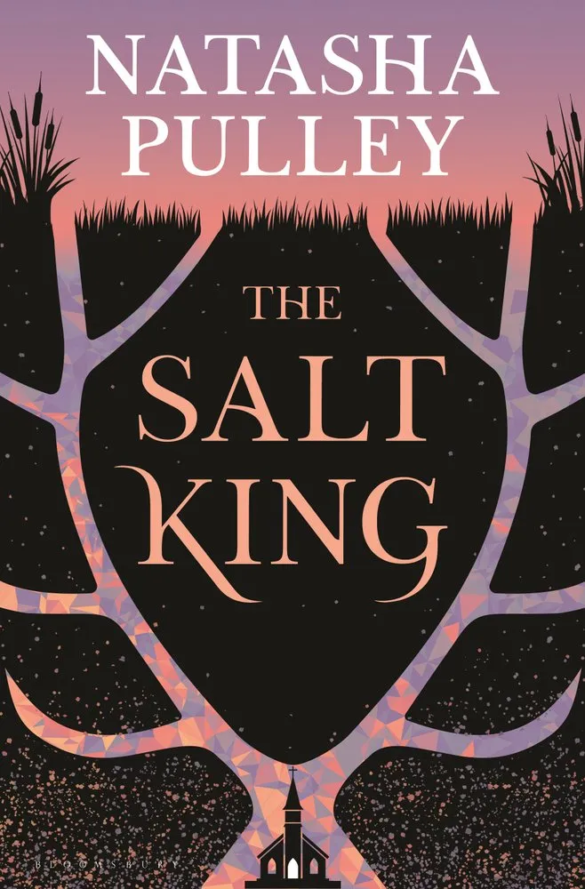 Cover of The Salt King: A Novel